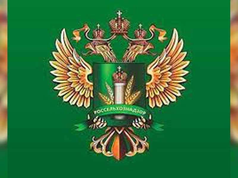 �� ������� ������. ����� �� ������������������ � ����������� ������ ����������������� ��������� � ���������������� ���������������