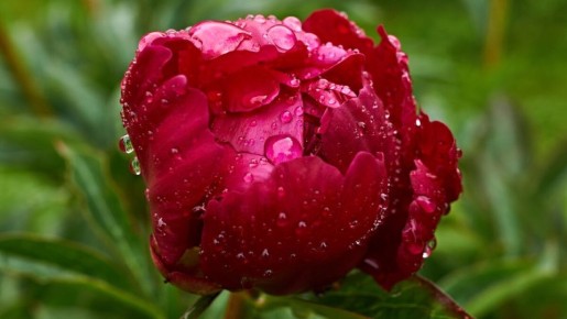 ��� ��� ������ �� ������ �����: ������� ��������� ������