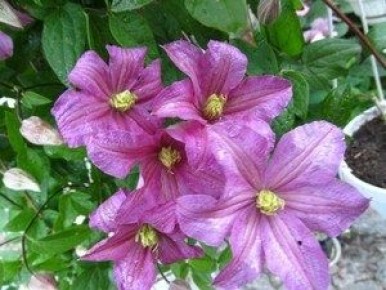 �������� ������� �� ����: ���������� �������������� ����� � ����� ����