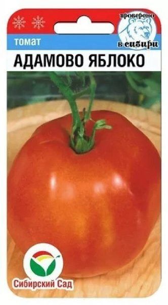 ����� ������� ������: ����� ����� � ��������������� ���� � ����� ����