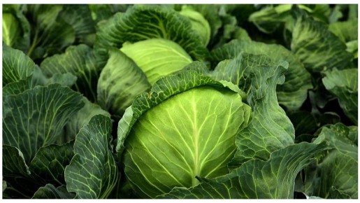 ��� ��������� ����� ������� �������� ����� � ������������ ������� ������