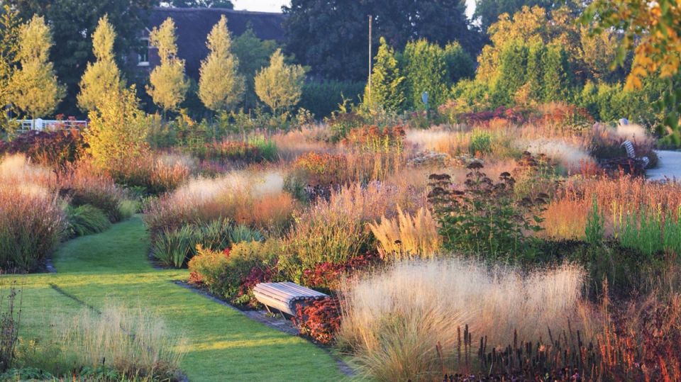 ����� ��� � ����� ���-����: ������� ������� � ����� �������