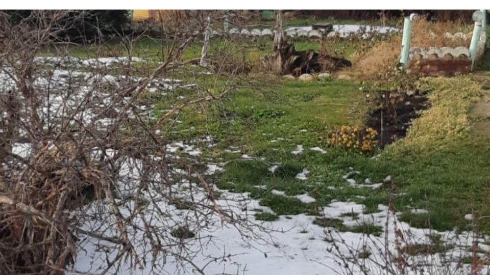 ��� ��������� ����� � ������� ������������� ��������: ������� ��������� ������