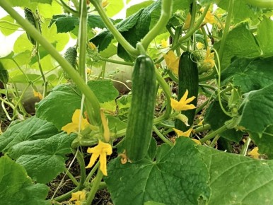 ��� ����� ���, � ������ ������ ������� ��������� � �������