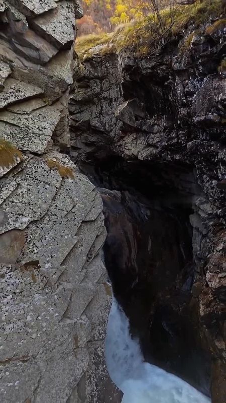 ������� "������� ��������" � �������� ������, ������