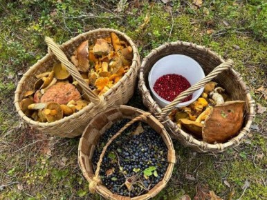 ������� �����: ������ ��������� ��� ��������