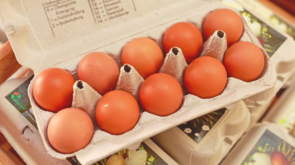 ����� ������� � �������� ����� ������ ����: ���� �� ���� ������������ �������� �� ��������