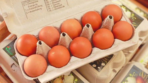 ����� ������� � �������� ����� ������ ����: ���� �� ���� ������������ �������� �� ��������