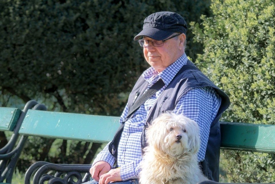 ��� ������������ ���������� �������� ���� ��� ������: ����������� ����