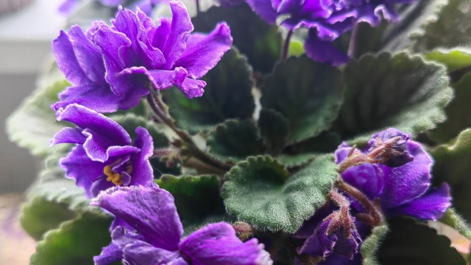 ������ � ����� ��������: ��� ������ ������������ ������� � �������� ������� ��������