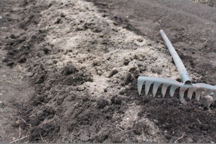 ���������������� ������ �� �������� ����� ��� ��������� ������