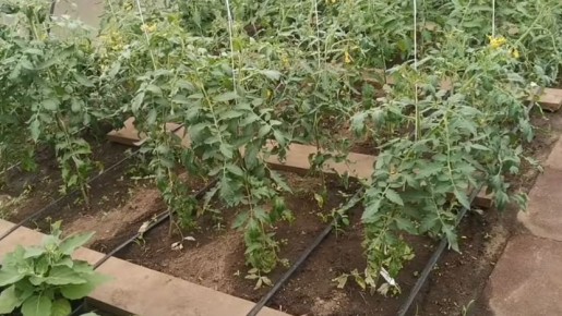 ��� ������ ����� ������ ������ ���������� � ����������� ���������