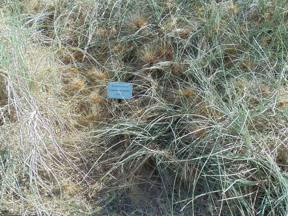 ���������: �����-�������������� �������� ���������