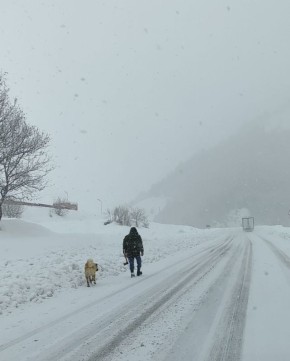 �������� � �������� ������� ����