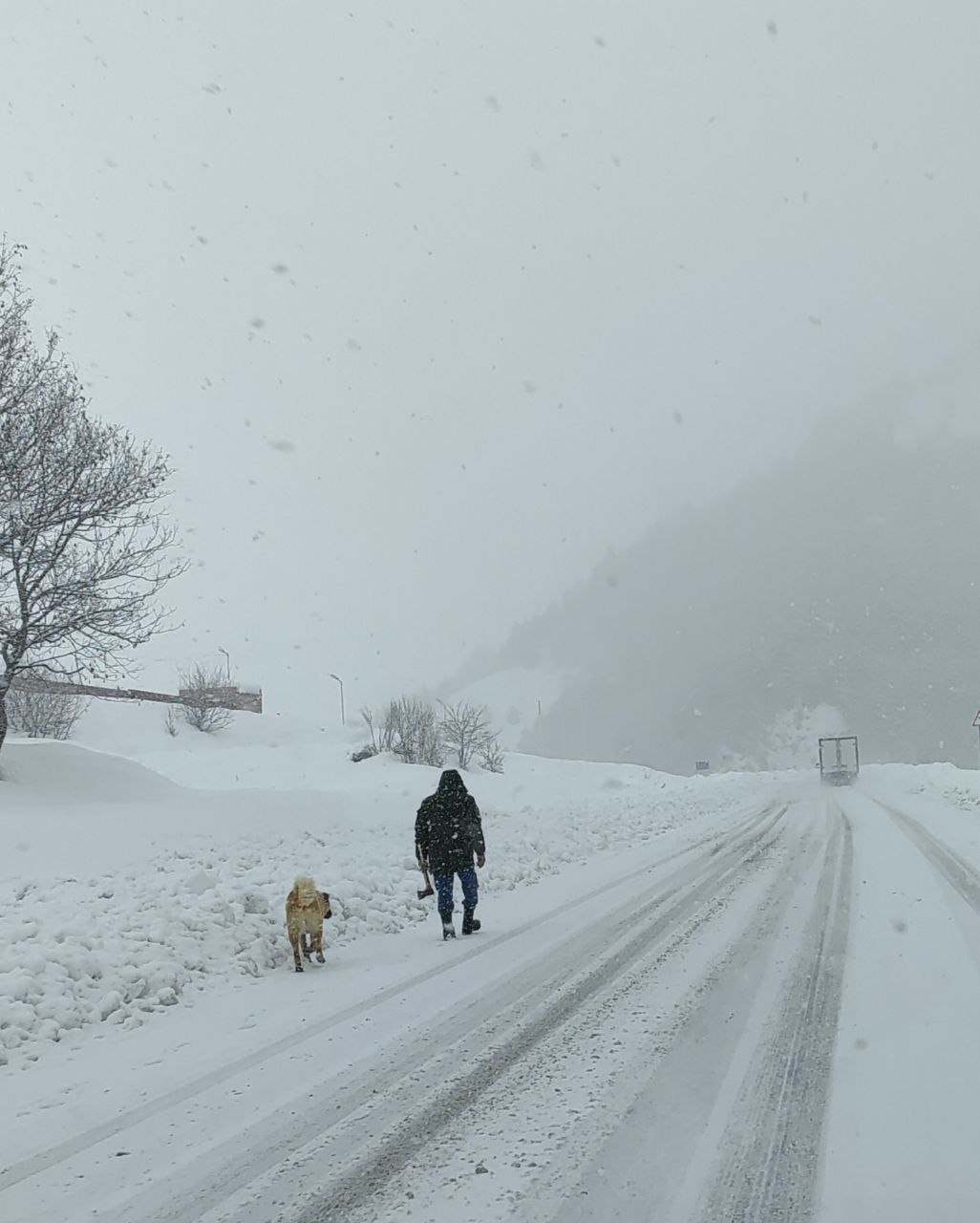 Транскам в объятиях снежной зимы