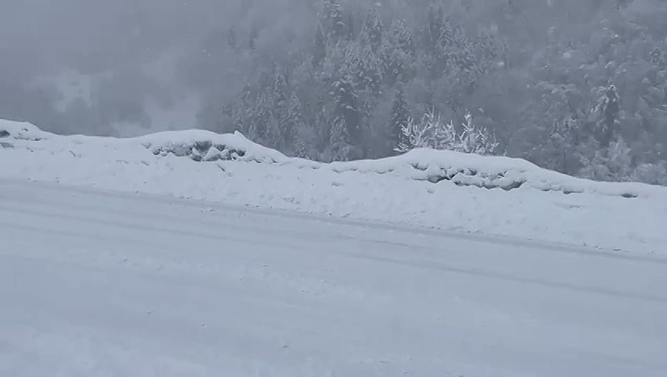 ��� ����� ������ ������������� � ������������ ��������� �������� ������� �� ��������� ������ �� ������ 3 �������