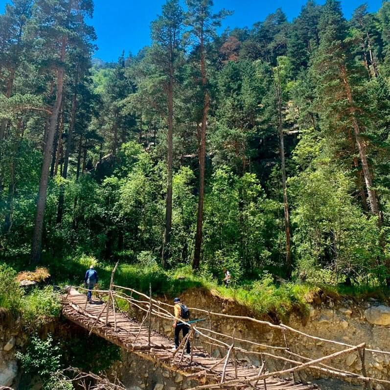 � ��������� ������ ������ 2026 ���� ������� 16600 ��������