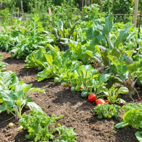 ��������: ����� ���������� ������� � ������ ������