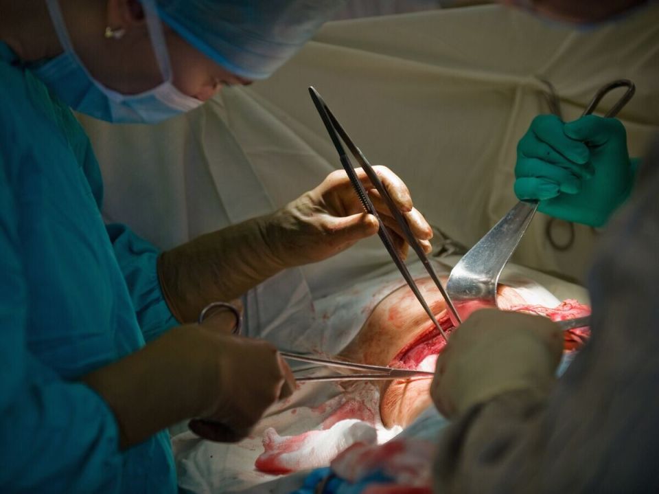 ������ �����: ����� ������ �� �������������� ������������ �������