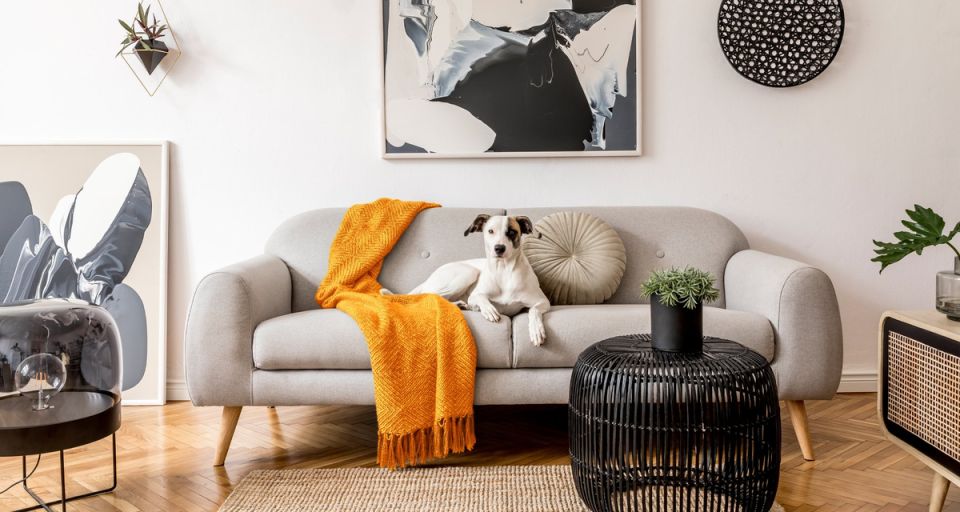 ��������� ����� ��� ������� �����: ������� �������, � ������� ����� �����