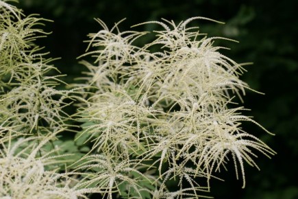 ���������� ��������: �������, ������ ��� �������� �������� ��� ������ ����