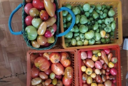 ������� ����������� ������� ��������� ����: ��� ��������� ������ �� ������ ����