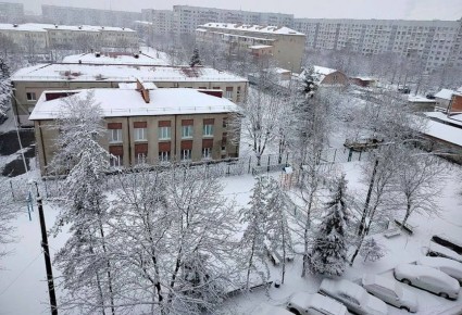 �����������: ������� �������