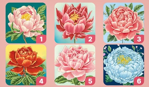 ����� ������ ��� ������� ����� ����: �������� ����������� ����