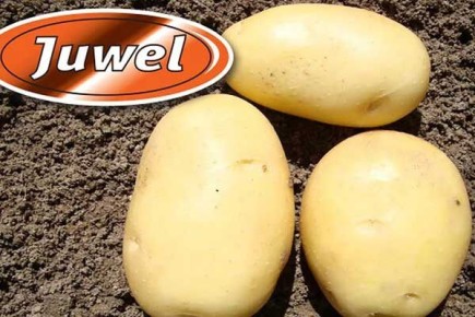 ������������� � ������������� �������� ��������� ������