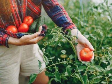 ����� ����� �� ������ � ���������� �� ��������, ������ ������ ���������