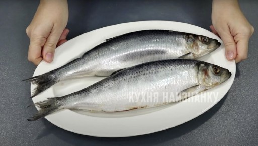 ��������� �����������: ������ ������ �� ��� ���������� � ������ �������� �� �����