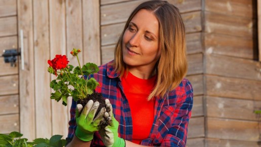 ���������� ������: ���� ������ � ����� �� ������� � ������ �������� ������ ���������