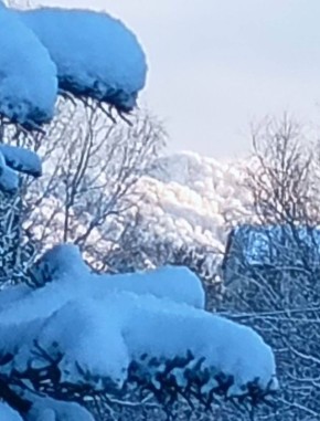 ���� �. �����������. ������� �� ������������ ������ ������ ����: ���������� ������ ���, ���� ������� ����