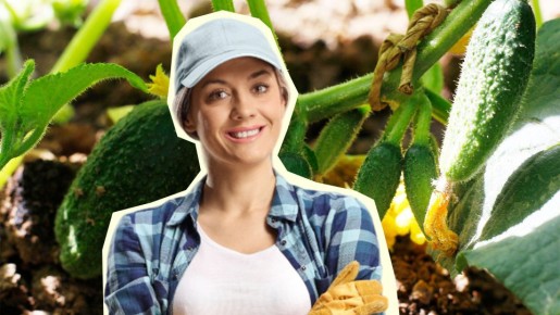 ��� ��������� ���������� ���� ������ �������: �������� � �������� ������� ������