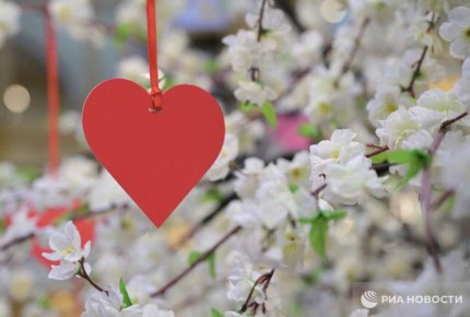 ������������� 14 ������� � "���� �����" ��� "���� �������� �������" ���������� � �������