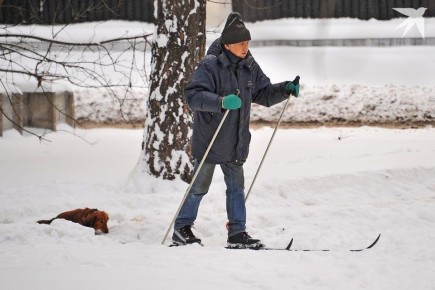 ���������� ������� � ��������: ��� ����� ����� � �������� ���������