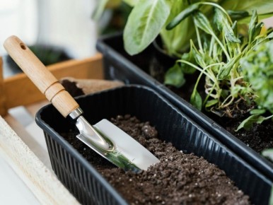 ���������� ������ ��� �������: ��� �������� �������� ��������