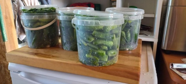 ������ ���������: � ������� � ���������