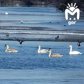 ������ ������� ���, �����? �� �����? �������