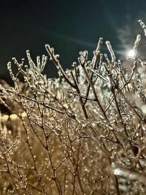 �������� � ������ ��-����������