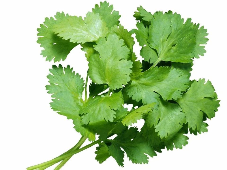 ������ ���� ����� �����, � ������ � ���������: ����� �����