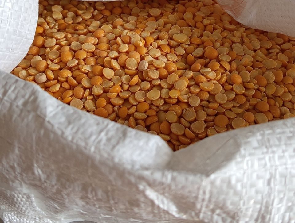 Горох в рационе кур: важный источник белка и оптимальный способ кормления