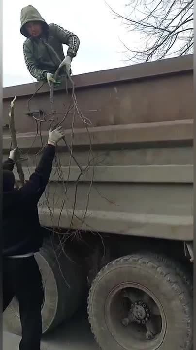 Коммунальные службы продолжают работы по ликвидации последствий непогоды