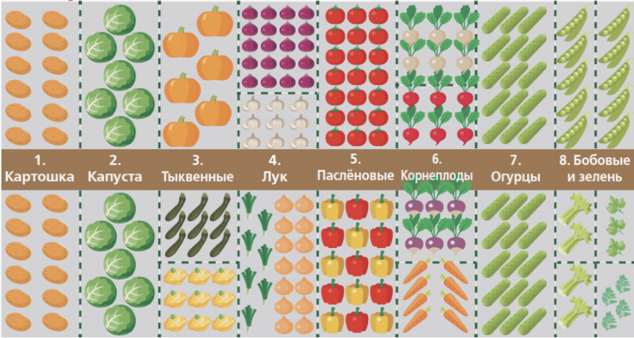 Умный подход к планированию посадок: как избежать перегрузки