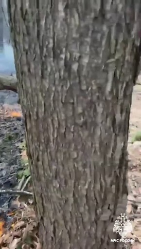 ���������� ����� �������������� �������� � ������ �������� ����� �� ������������