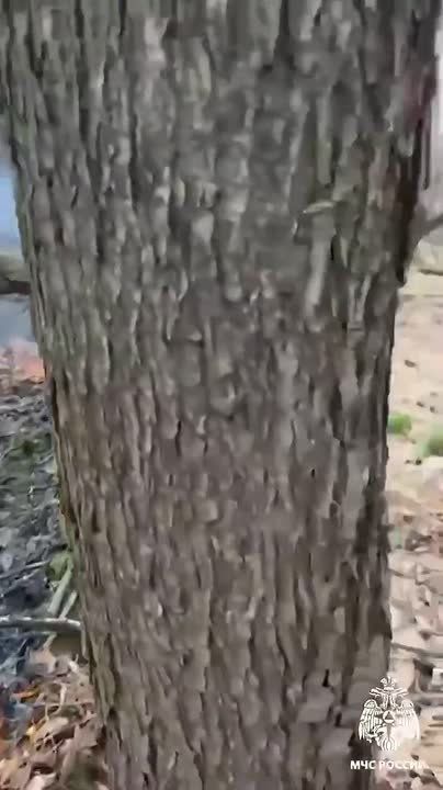 ���������� ����� ����� � ������ �������� ����� �� ������������ ������������� ��������