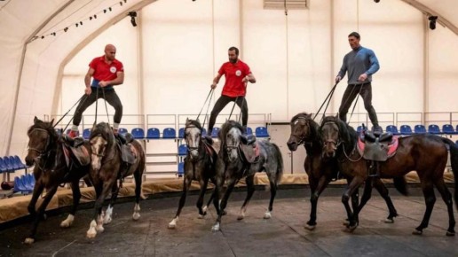 ����� �����-�� ����� ��� ��� ��� ����������