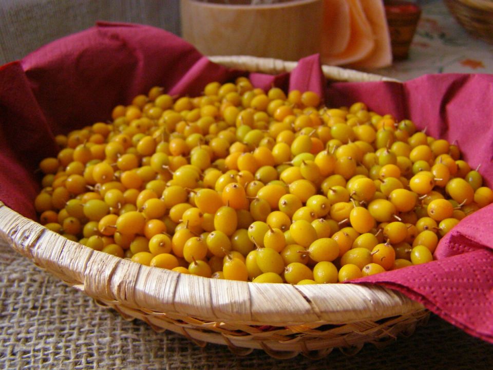 Облепиха на зиму: секреты вкусных и полезных заготовок