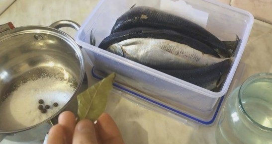 ��� ��������� �������� ������� � �������� ��������