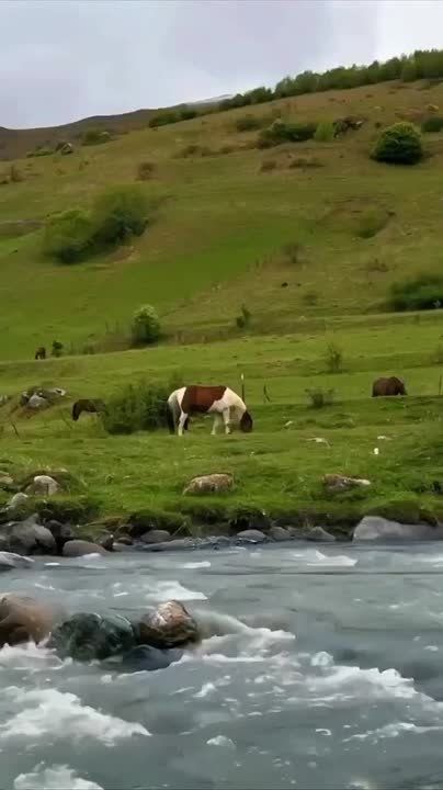 ������ ����, ������!. �� ������������ ��������� �������� � ������������ ������